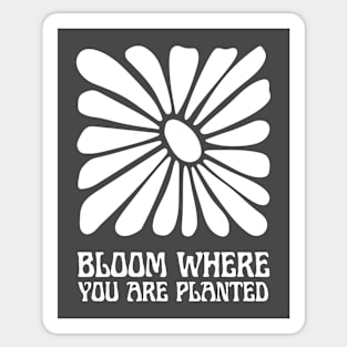 bloom where you are planted Sticker